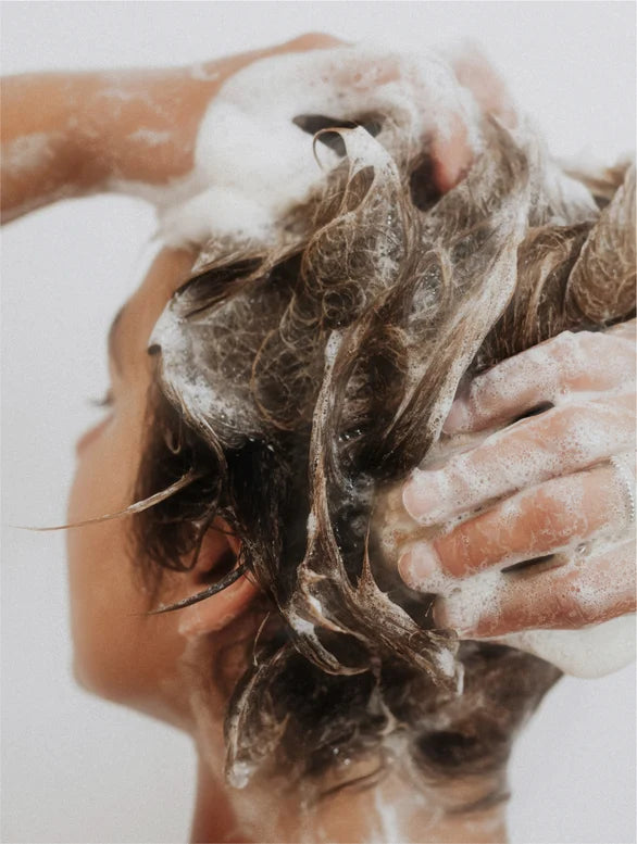 Sensitive Scalp Shampoo #0258
