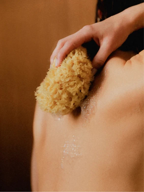 Grapefruit Hand & Body Wash #5470