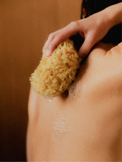 Grapefruit Hand & Body Wash #5470